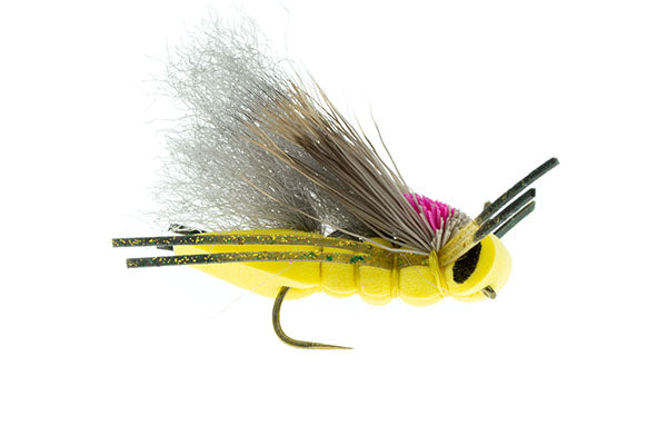 Boy Wonder Hopper - Umpqua