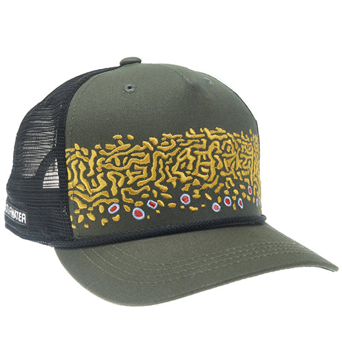 Brook Trout Skin 2.0 5-Panel Hat--Rep Your Water
