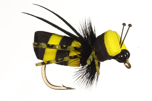 Bumble Bee - Rainy's