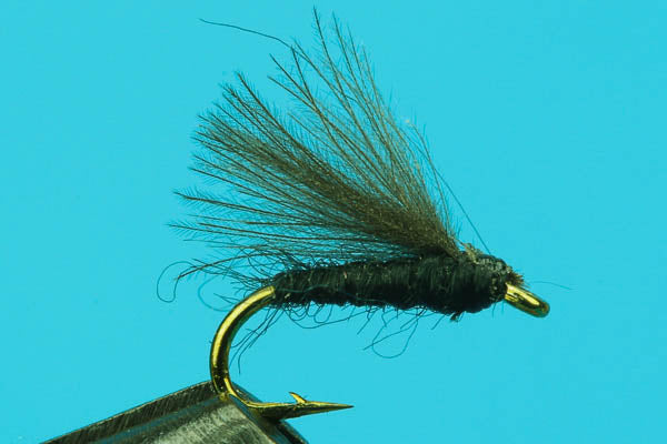 CDC Micro Caddis-Premium Trout — Big Y Fly Co
