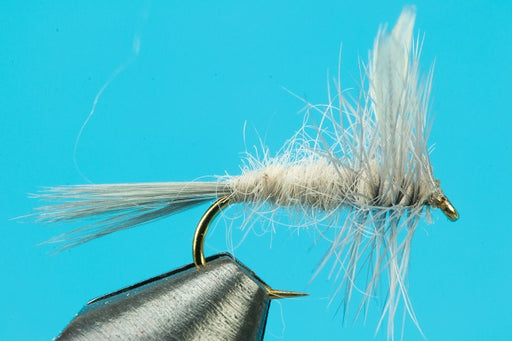 Hatch Master Fly Pattern Callibaetis Flies – Stillwater & Slow‑Water Mayfly Patterns Big Y Fly Co