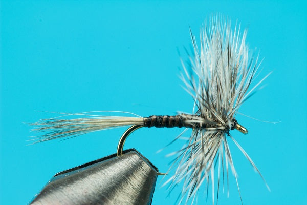 Callibaetis Quill Dun-Fishing Flies-BigYFlyCo.com — Big Y Fly Co