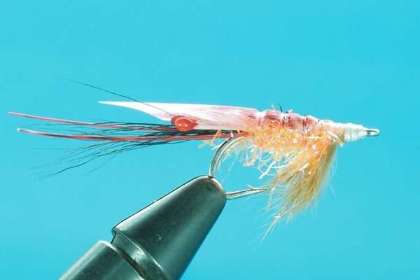 Caribbean Shrimp-Saltwater Flies- — Big Y Fly Co