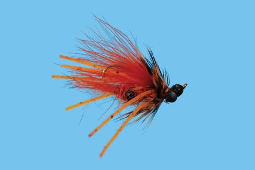 Carp Craw - Solitude