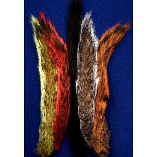 Squirrel Tail