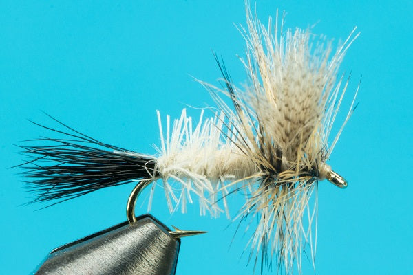 Coffin Fly - Dry Flies