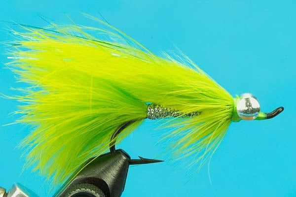 Coho Comet
