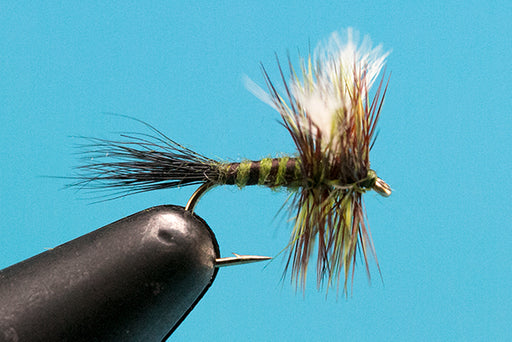 Green Drake — Big Y Fly Co