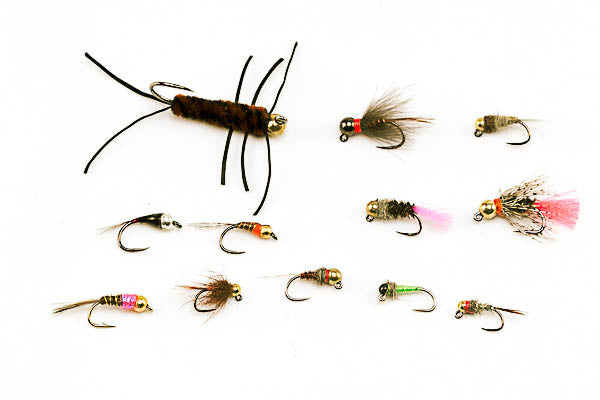 Czech/Euro Nymph Assortment--24 Flies #15 — Big Y Fly Co