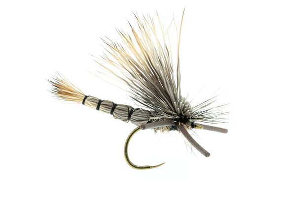DJL Drake - Umpqua (Barbless)