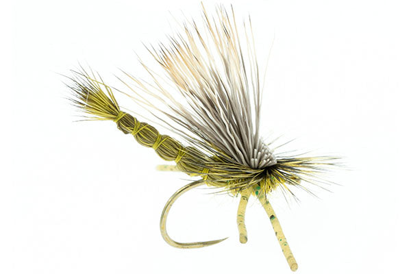 DJL Drake - Umpqua (Barbless)