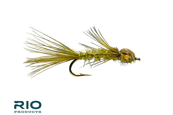 Dainty Damsel - RIO