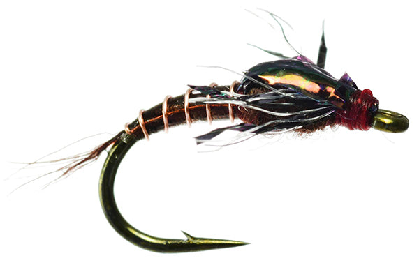 Darth Baetis - Umpqua