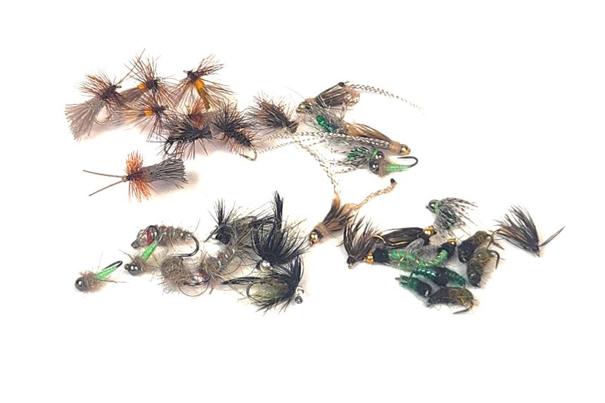 Deschutes Caddis Assortment--36 Flies #10