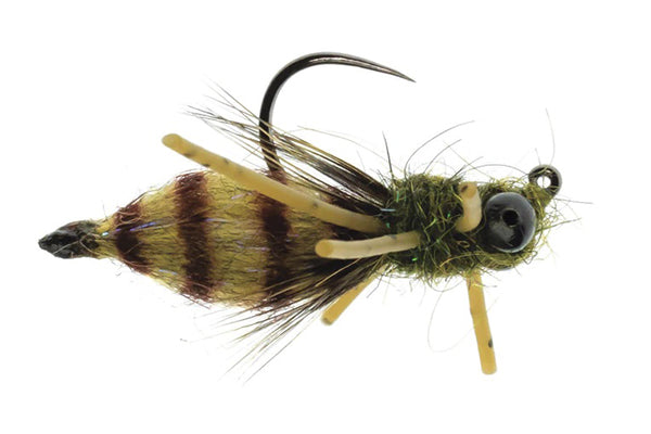 Draggin Nymph - Umpqua (Barbless)