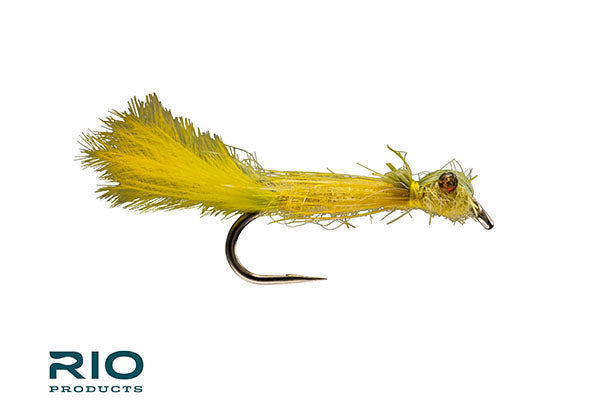 Dreaded Damsel - RIO