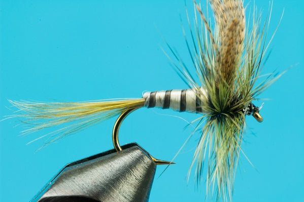 Green Drake Flies – Dries, Emergers & Nymphs Big Y Fly Co