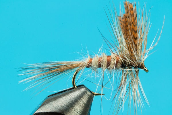 Big Y Fly Co® Best Selling Fly Fishing Flies-Since 2004-Discount Flies