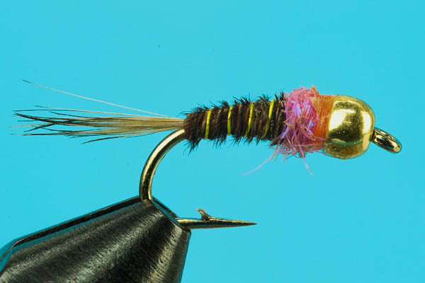36 Pc BH Frenchie, Size #14 Euro Nymph Jig Fly Fishing Flies for Trout  Bluegill