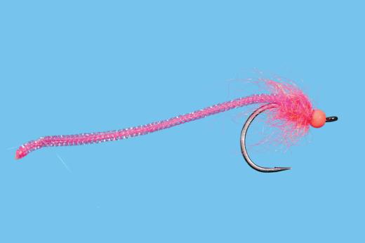 Egg Lace Worm - Solitude