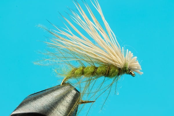Elk Hair Caddis CDC-Caddis Flies-BigYFlyCo.com — Big Y Fly Co