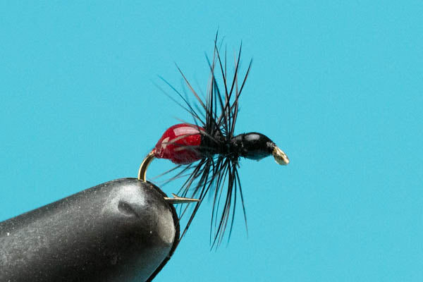Ant Epoxy-Fly Fishing — Big Y Fly Co
