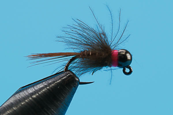 Euro CDC Pheasant Tail-Tungsten (Barbless)