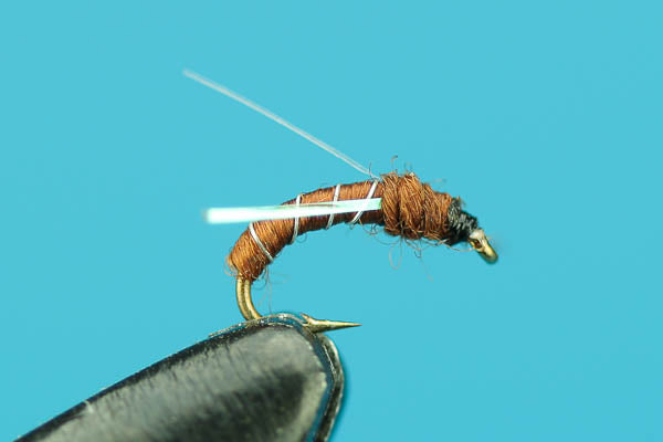 Flash Midge Pupa-Fly Fishing Flies- — Big Y Fly Co