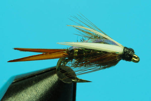 Maine — Big Y Fly Co