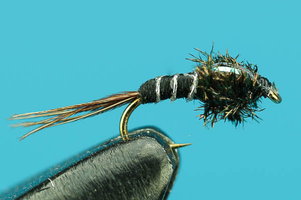 Flash Quill Nymph-Trout Fishing — Big Y Fly Co