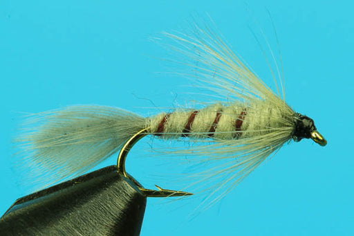 Flymph PMD-Fly Fishing — Big Y Fly Co - Main Image