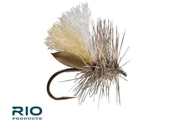 Foam Run Caddis - RIO