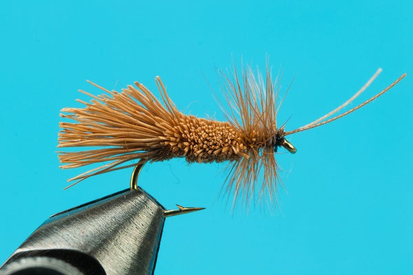 Goddard Caddis-Trout — Big Y Fly Co