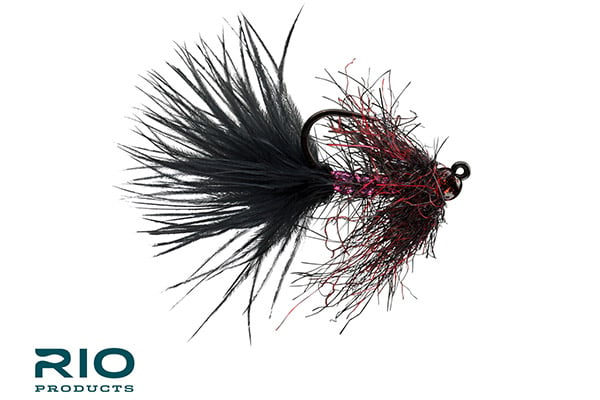 Rio's Gold Jigger-- — Big Y Fly Co