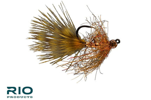 Gold Jigger - Brown