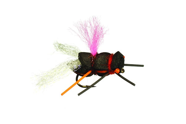 Goodman's Pit Boss Cicada-By Rainy's