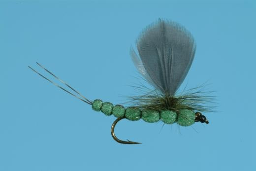 Green Drake Foam - Solitude