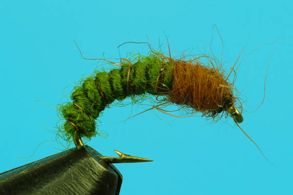 Green Rock Worm