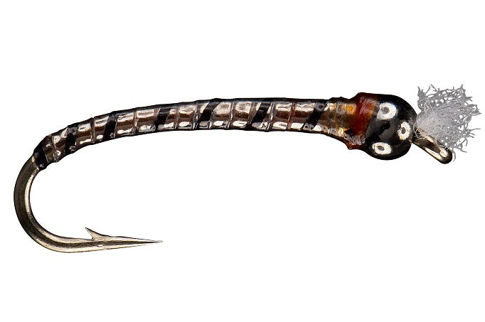 Hangin w/my — Big Y Fly Co - Main Image