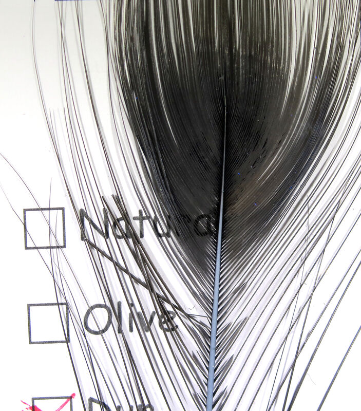 Stripped Peacock Eye--Hareline