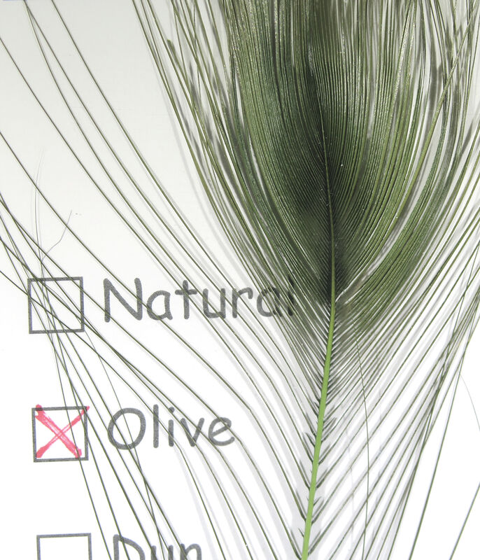 Stripped Peacock Eye--Hareline
