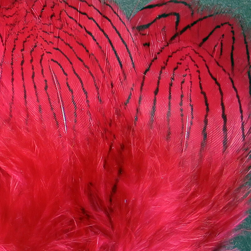Strung Silver Pheasant Body Feathers--Hareline