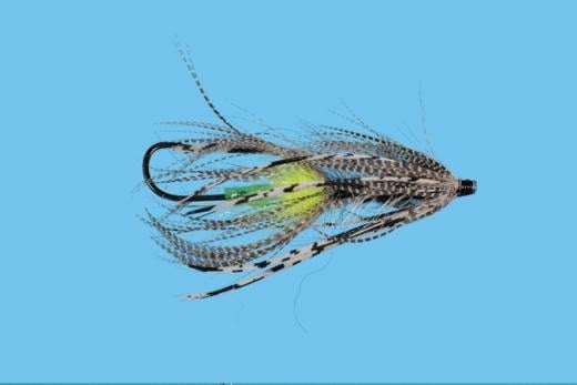 Hobit Spey - Solitude