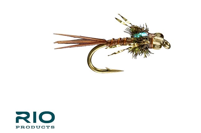 Rio's Golden — Big Y Fly Co