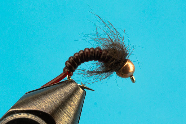 Jelly Caddis - Beadhead