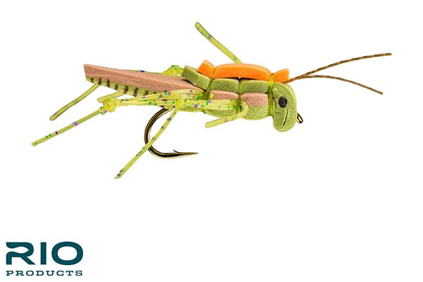 Juicy Hopper - RIO