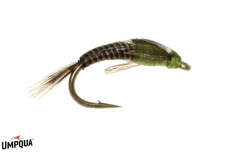 Juju Baetis - Umpqua