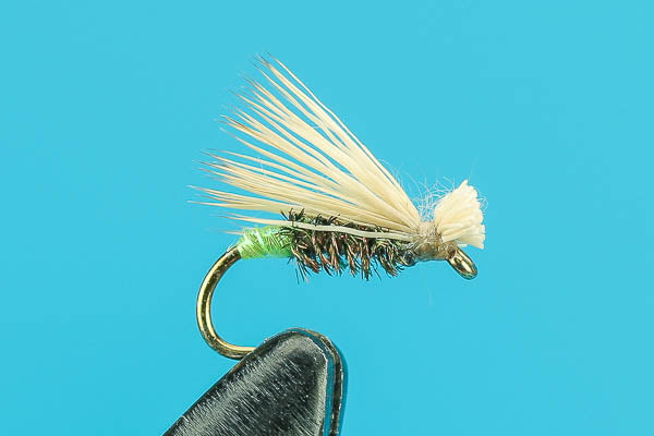 Egg Layer Caddis - Caddis Fly Patterns