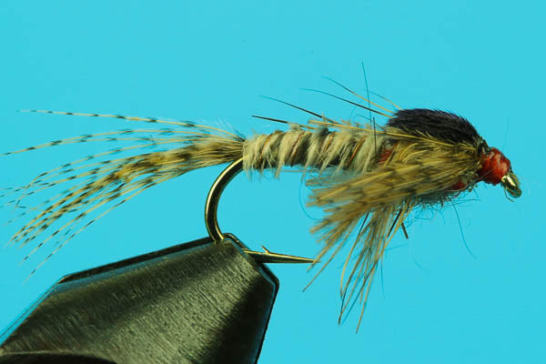 Light Quill Sulphur-Nymph Patterns-BigYFlyCo.com — Big Y Fly Co