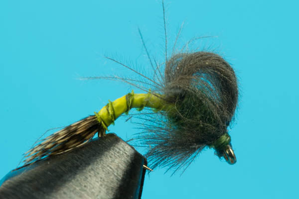 Loop Wing Emerger-Fishing Flies-BigYFlyCo.com — Big Y Fly Co